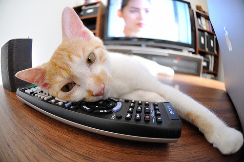 九游jiuyou-体育新闻中心深化智能赛事分析技术应用，智能体育大会