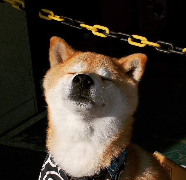 九游娱乐-博卡青年前腰传球精准，是全场亮点，博卡青年著名球员