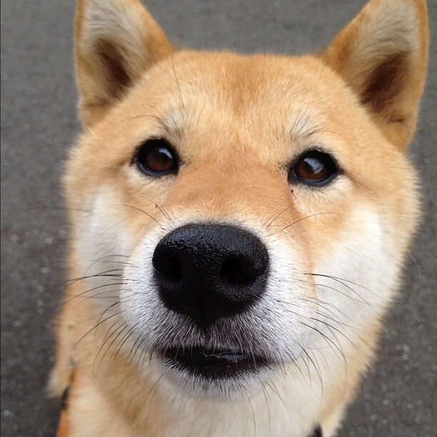 九游游戏中心官网-林丹讲述一次影响深远的失败经历，林丹最精彩的